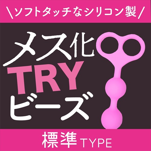 メス化TRYビーズ　標準タイプ　MESUKA TRY Beads STANDARD2