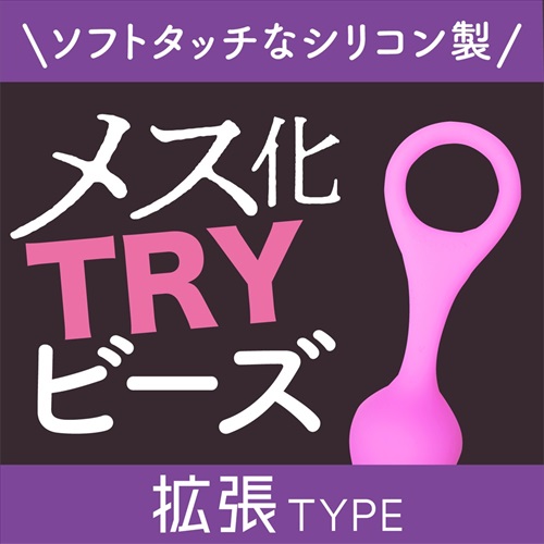 メス化TRYビーズ　拡張タイプ　MESUKA TRY Beads EXPANSION2