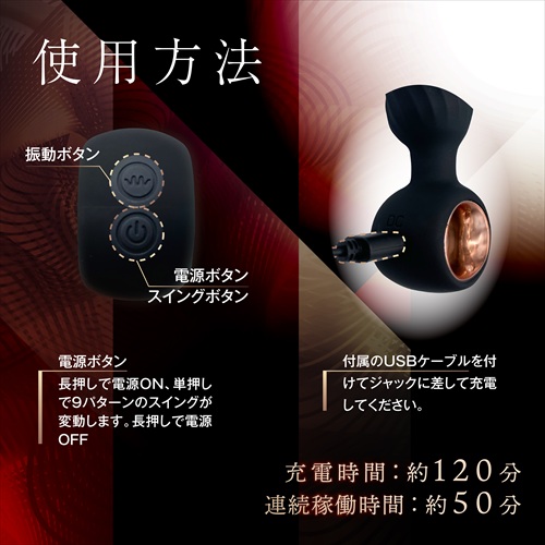 SHIRIPURA スイングプラグ　SHIRIPURA Swing Plug5